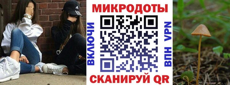 MEGA   Ворсма  Псилоцибиновые грибы Cubensis 